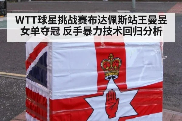 WTT球星挑战赛布达佩斯站王曼昱女单夺冠 反手暴力技术回归分析